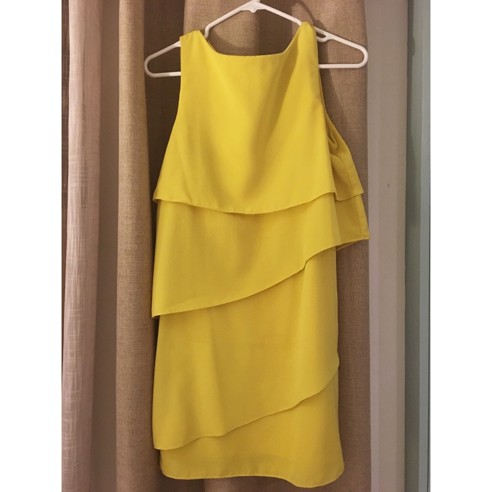 Zara Basic Dress