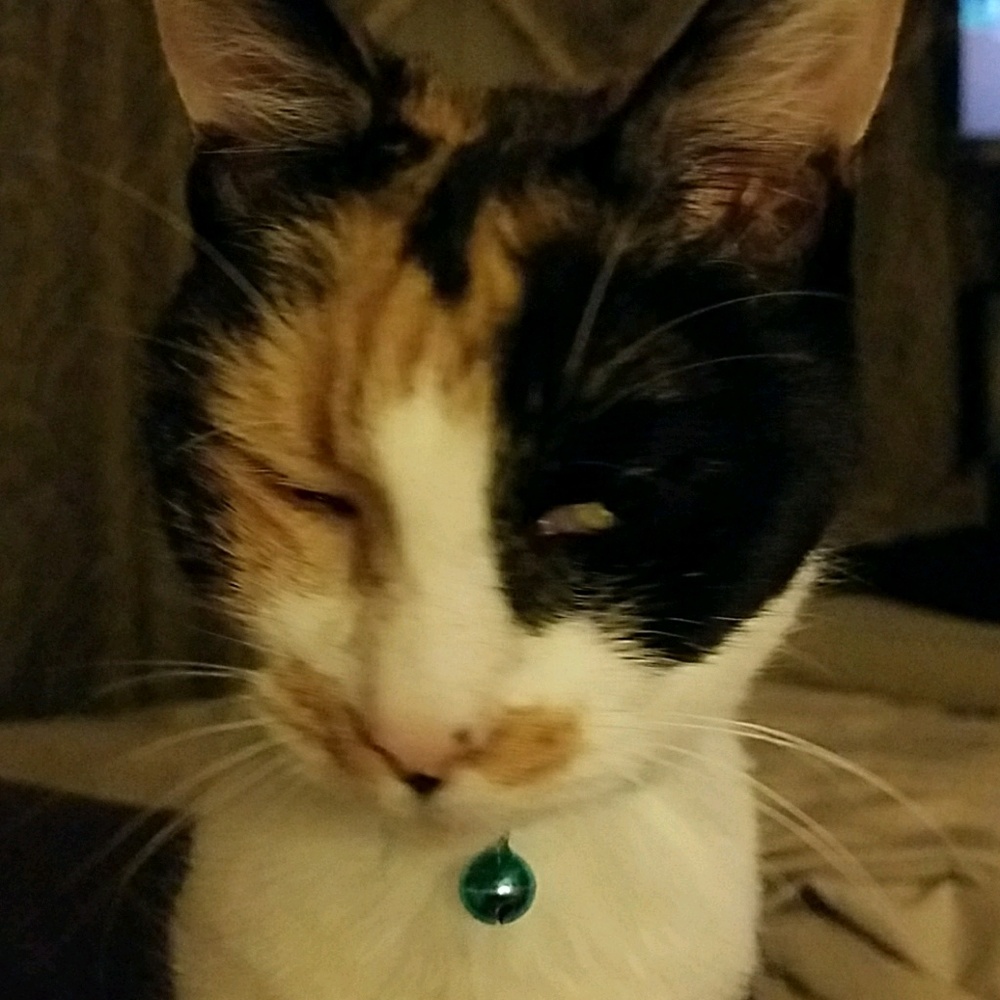 Meet your Posher, Janelle