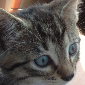 Meet your Posher, Marisol