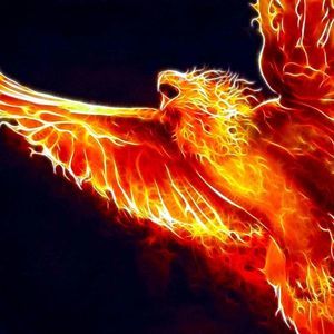 Meet your Posher, Carlos