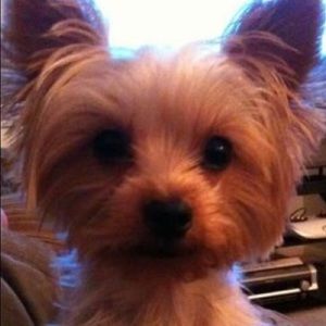 Meet your Posher, Ric