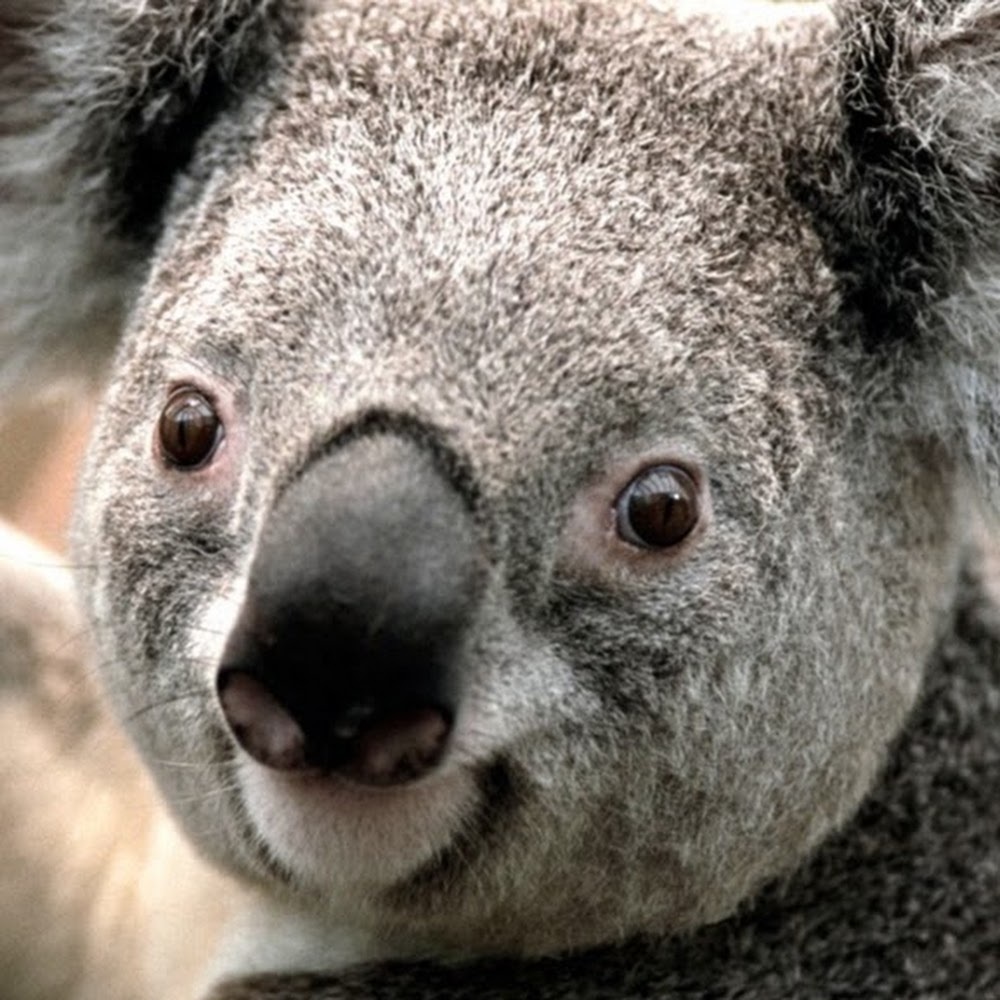 Meet your Posher, Christelle