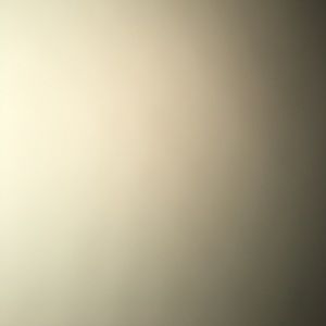 Meet your Posher, Brisa