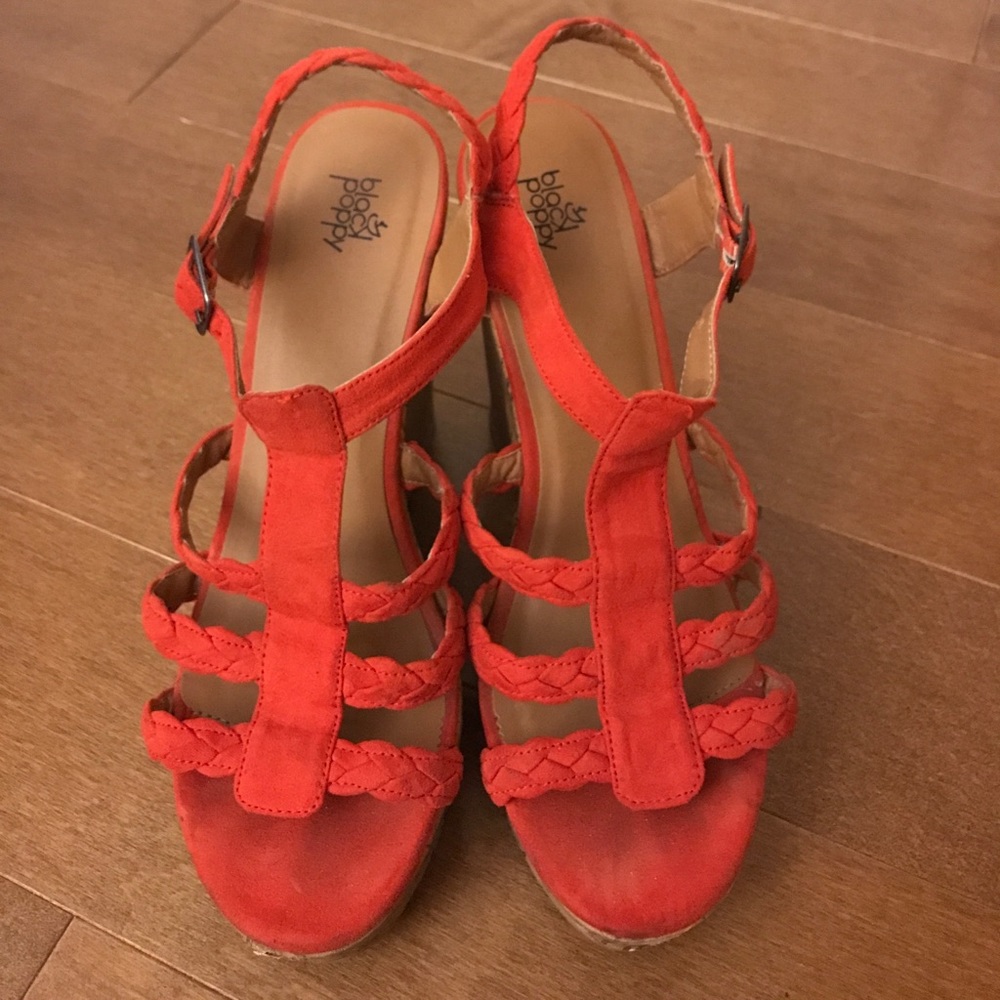 Coral Wedges