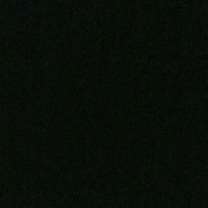 Meet your Posher, Shane