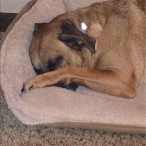 Meet your Posher, Joan