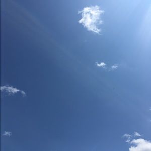 Meet your Posher, Serena