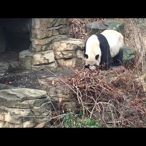 Meet your Posher, Todd