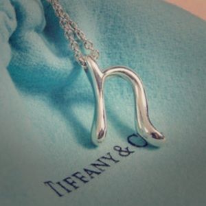 Tiffany & Co. Sterling Silver Letter N Necklace