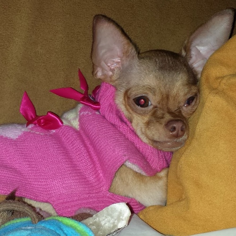 Meet your Posher, Noemi