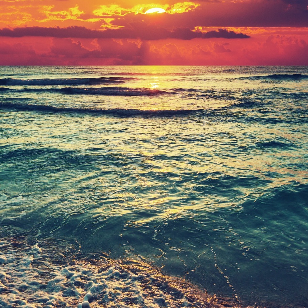 Meet your Posher, Autumn