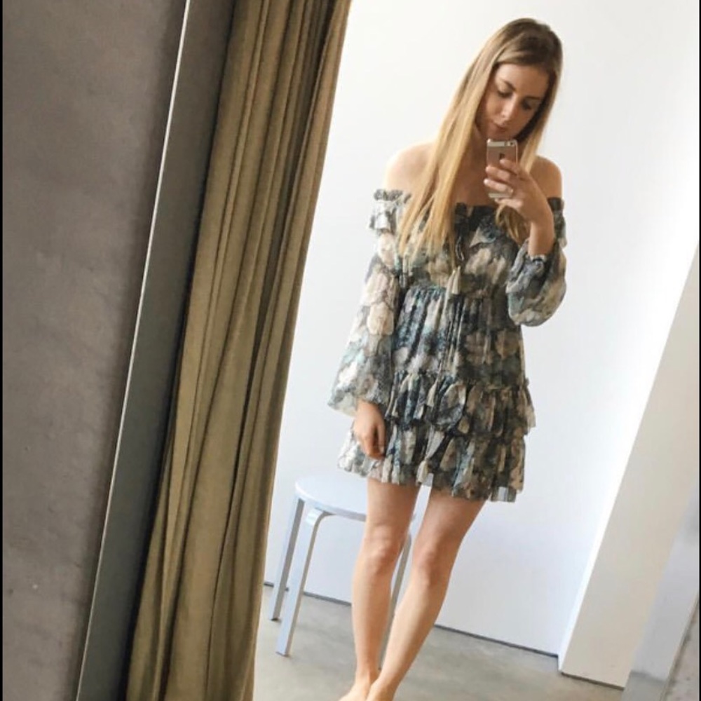 Zimmermann bowerbird frill dress 0 1 2 - Picture 3 of 8