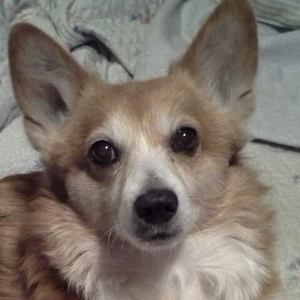 Meet your Posher, Tina