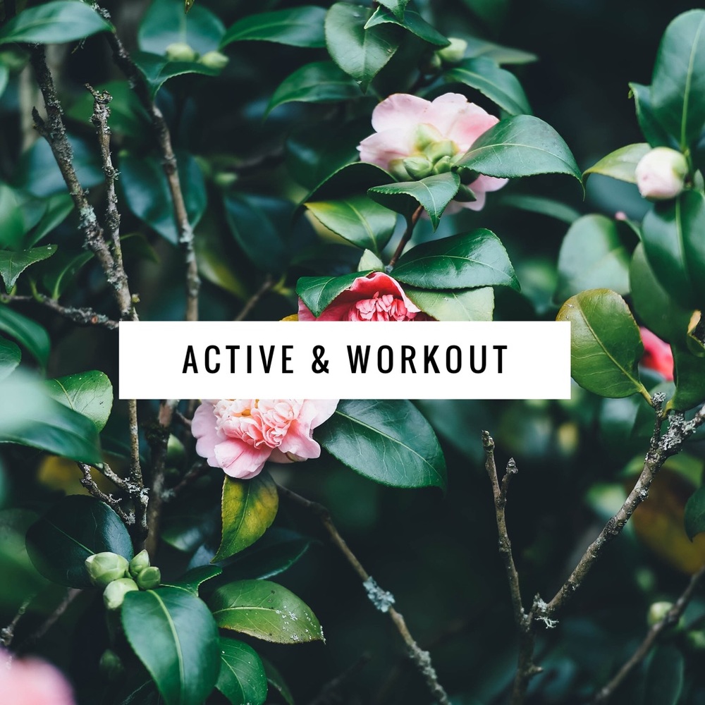 Active and workout