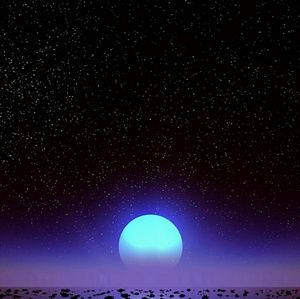 Meet your Posher, Tabitha