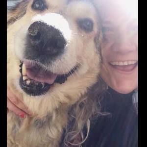 Meet your Posher, Harley