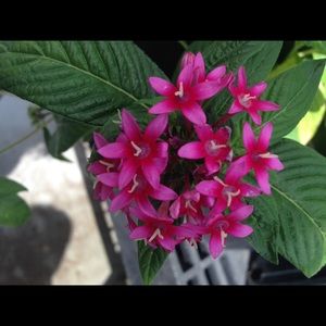 Meet your Posher, D.