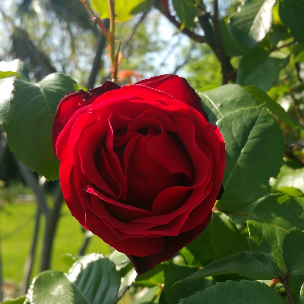 Meet your Posher, Jhoanna