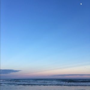 Meet your Posher, Bella