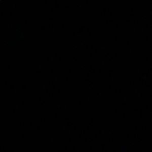 Meet your Posher, Obed