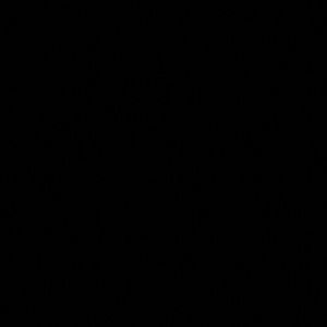 Meet your Posher, Cesar armando