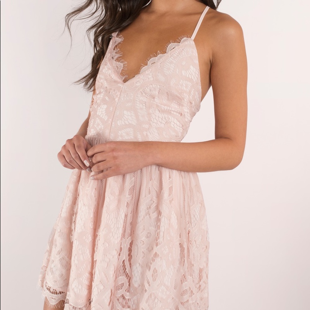 Tobi Sera Lace Skater Dress (Rose)