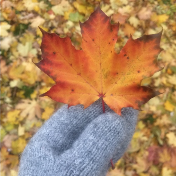 Hello! Welcome 🌸😊💗 - Picture 2 of 3