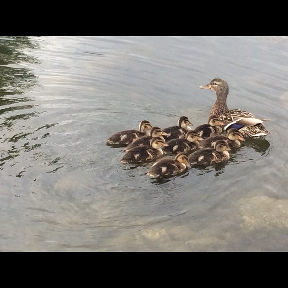 Hello! Welcome 🌸😊💗 - Picture 3 of 3