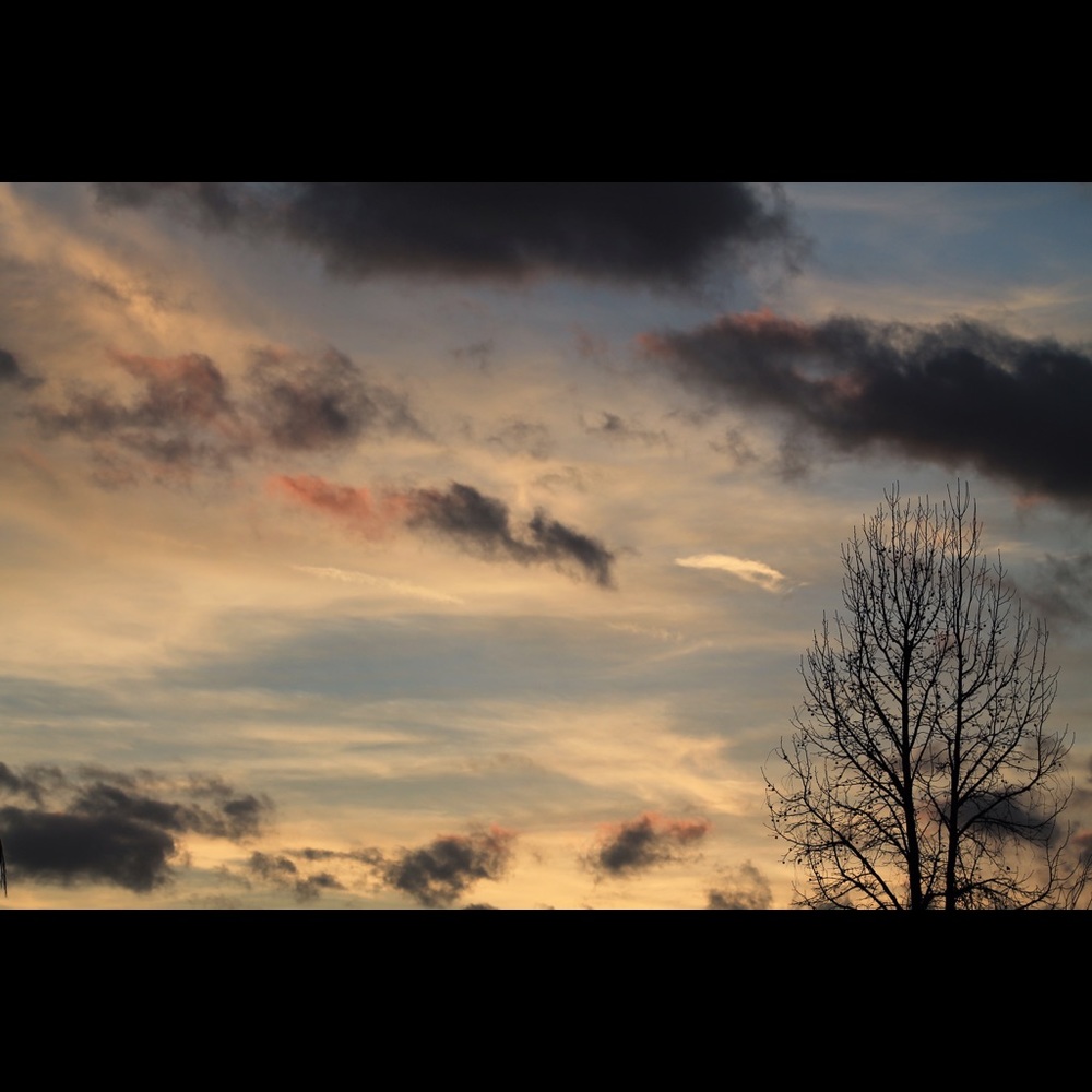 Meet your Posher, Madeline