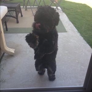 Meet your Posher, Kari