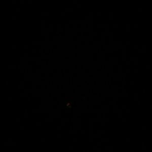 Meet your Posher, Nicolas