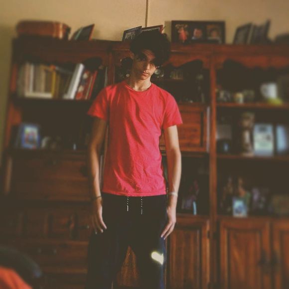 Meet your Posher, Leonardo - Picture 1 of 1