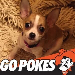 Meet your Posher, Kim