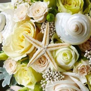 Meet your Posher, Sandi