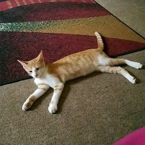 Meet your Posher, Jerica