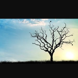 Meet your Posher, Krista