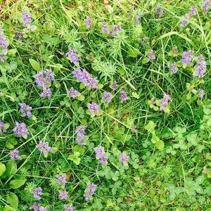 Meet your Posher, Eleanor