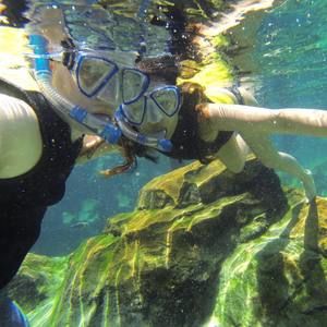 Meet your Posher, Candis