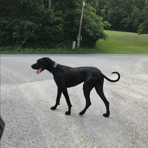 Meet your Posher, Kathy