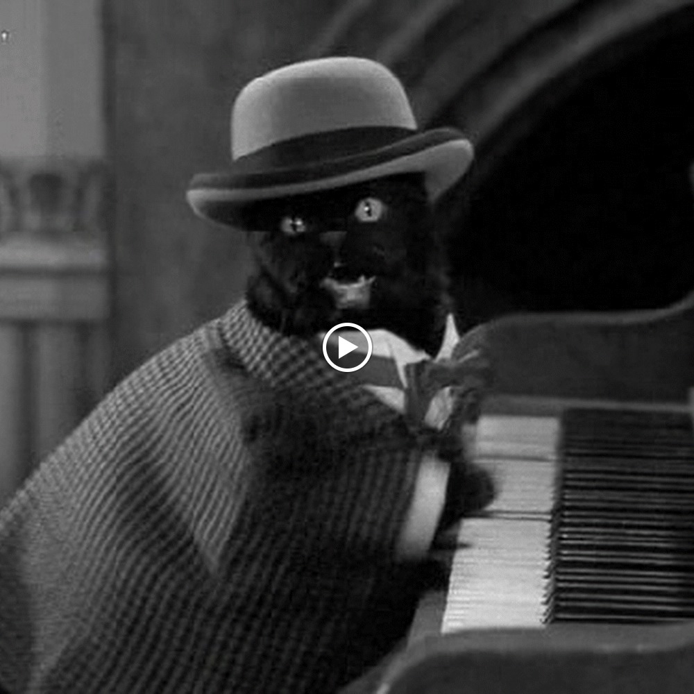 Meet your Posher, Melleaux