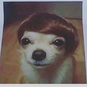 Meet your Posher, Clinton