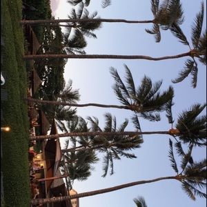 Meet your Posher, Nevaeh