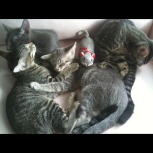 Meet your Posher, Jeanne