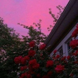 Meet your Posher, Isabela