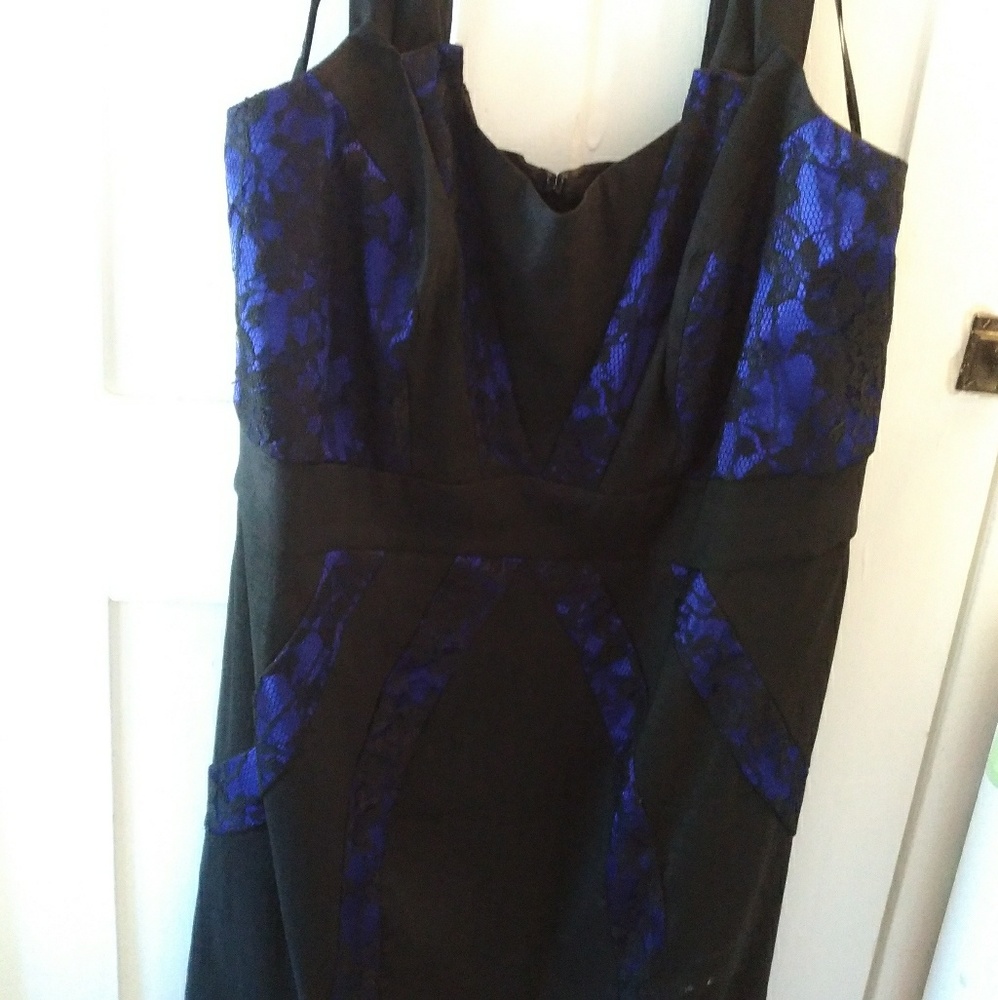 City chic xl royal blue sheath dress with blk lace