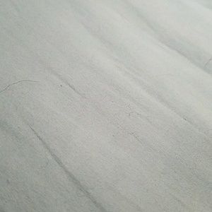 Meet your Posher, Paul