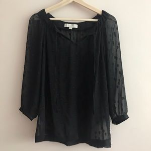 Sheer Polka Dot Blouse