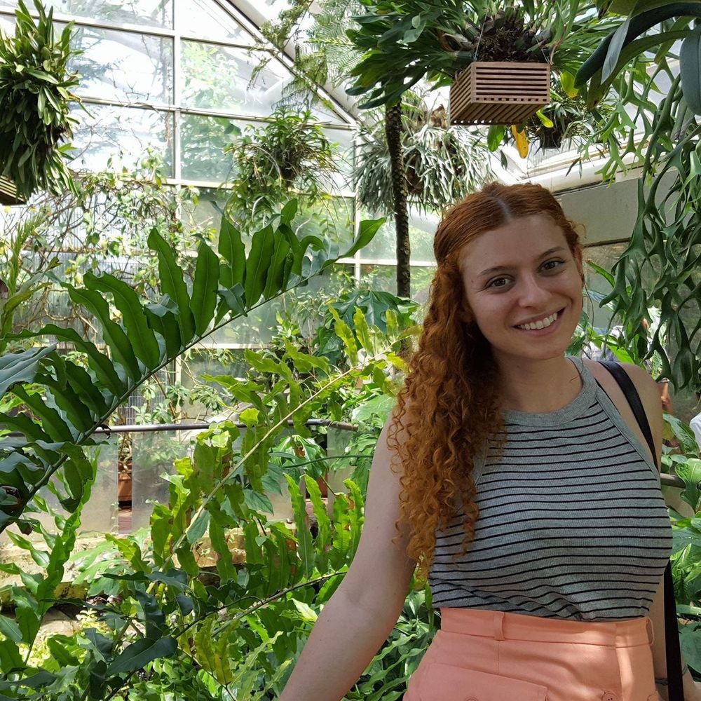 Meet your Posher, Alexa