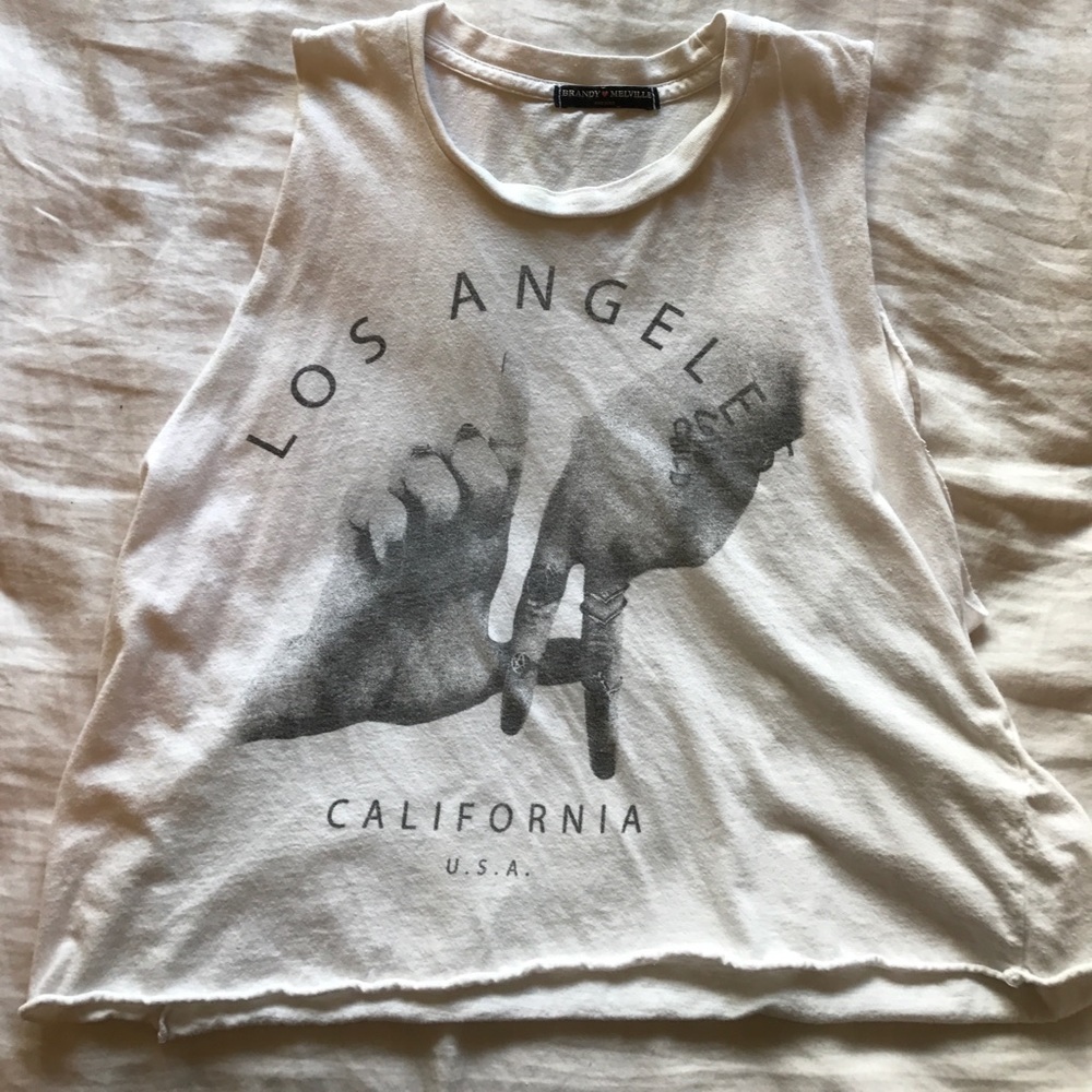 Brandy Melville Crop Top