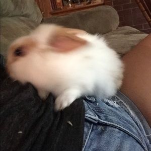 Meet your Posher, Chasity